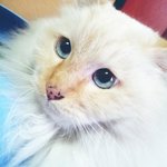 [동물보호소] 보기만해도 마음이 따뜻해지는 동물보호소 "산수의...