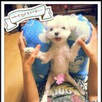 [인피니트] 장동우 <b>매너남</b> 같으니라고