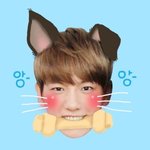 [EXO] <b>배</b>큥이 비밀알려쥬깡?