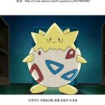 [유머] 토게피의 <b>실체</b>.jpg