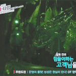 [EXO] 변백현이랑귀신의집가면존나재밌을꺼같음