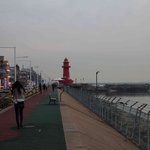 1월 29일 오이도에 있던 그녀를 찾습니다.