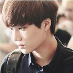 [exo] 이번 샤이니콘서트