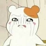 [백현] <b>누</b>가 백현이 욕하면 꽃님이들 반응