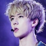 [EXO] 이거뭐야???