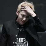 [블락비] 꿀벌들은사진이나영상보고반응