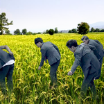 [EXO] 엑소 <b>농사</b>돌 맞음(인증샷)