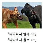 [도경수] 도경수랑 관계없음