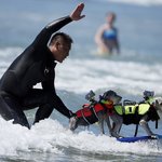 [EXO] <b>서핑</b>보드도 탈줄아네ㅋㅋㅋㅋㅋㅋㅋㅋ