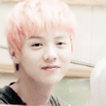 [EXO] 제발 반<b>배정</b> 잘되게해주세요
