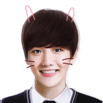 [EXO] <b>증사</b> 이거이쁨