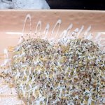 [남고생] #7 남고생의 요리일기