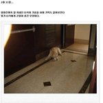 마음으로 보는 <b>사진들</b>..28