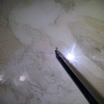 인스턴트<b>사골</b>에서 번데기가나왓어요