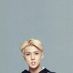 [EXO] 아이비클럽 <b>사진</b> <b>추가</b>