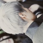 [EXO] 너네는 엑소 좋아하는게