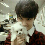 [도경수] 이사진뭐에여?!?!????