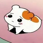이런사랑이가능한가요....