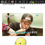 [EXO] 변백현 <b>식물</b>설