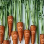 [블락비] 비비<b>씨들</b>......진짜