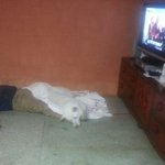 (농약에 관한) 너무 답답하고 도움받을수잇는 얘기를 듣고자 글올려요...