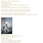 마음으로 보는 <b>사진들</b>..29