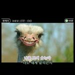 [EXO] 노래방에서으르렁부르는데...<b>jpg</b>