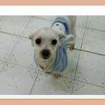 <b>번식</b>장에서 구조된 온유