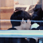 [도경수] <b>팬더</b>인형갖고노는아가경수