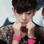 [EXO] 타오 <b>찹쌀떡</b> 같음