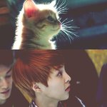 [시우민] 슈밍과 <b>스코티</b>쉬폴드