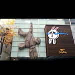 [EXO] 빅스 저주인형 <b>회사앞</b>에 걸어놨는데