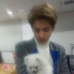 [EXO] 난 고화질 <b>사진</b>보다 <b>이런</b> <b>사진</b>이 더 설렘..