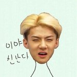 [EXO] 잠깐만카트가