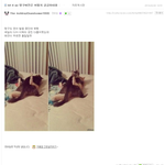 [EXO] ㅋㅋ 이거봐봐 