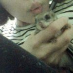 [하늘다람쥐] 이렇게 똑똑한 우리집 미국 하늘다람쥐^^ ㅋ