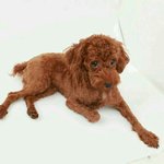 저는 <b>윤아라</b> 입니다 제 글좀 꼭 읽어주세요