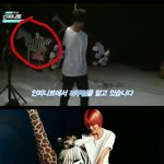 [인피니트] 여러분 <b>얼룩말</b>이익숙하지않으심?!