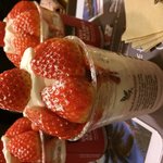 [크리스] <b>비서</b>들 꼭봐!!;;