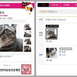 [깜지꼬봉] 반려동물 <b>주민</b>등록증 만들어주세요~~