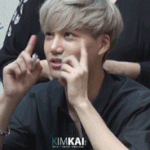 [EXO] <b>백과</b>종인