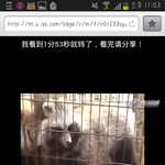 [개빡침] 중국 <b>너구리</b>모피 실체(사진o 잔인함주의)