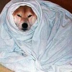 [시우민] 민석이따라 카푸치노마실거야