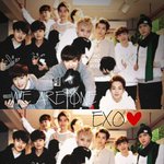 [비상대피소] 나요즘엑소꿈짱많이꿔ㅋㅋㅋㅋㅋ