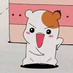 [백현] 백현이 인기가요 <b>첫</b>엠씨 보는날