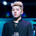 [블락비] <b>정지</b>풀린벌들아