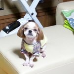 <b>훈이</b>의 연기력~