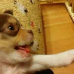 [비스트] 요즘 뷰티들