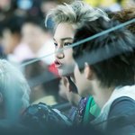 [<b>xoxo</b>] 붕붕붕 광고 ㅋㅋㅋ졸귀