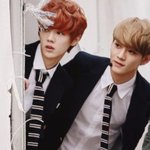 [CHEN] 허니가 놀러왔어유ㅎㅎㅎ